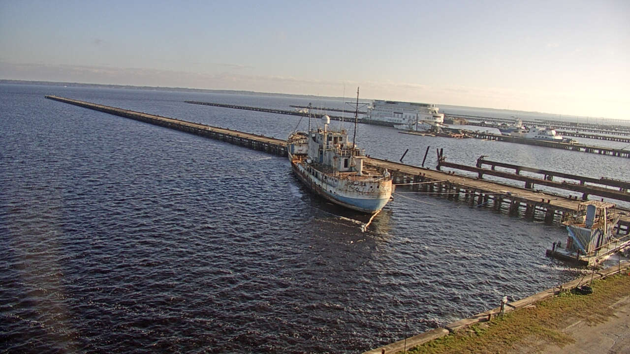 Thumbnail for current weather camera view from Reynolds Parks in Green Cove Springs, Florida