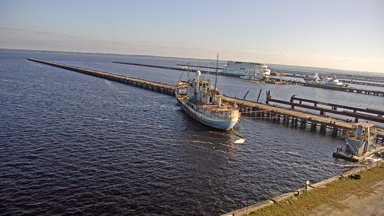Thumbnail for current weather camera view from Reynolds Parks in Green Cove Springs, Florida