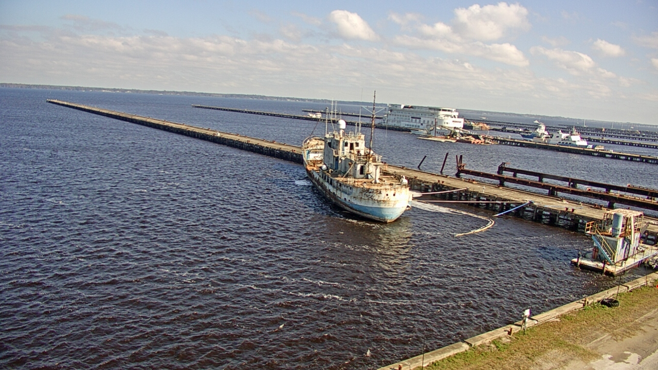 Thumbnail for current weather camera view from Reynolds Parks in Green Cove Springs, Florida