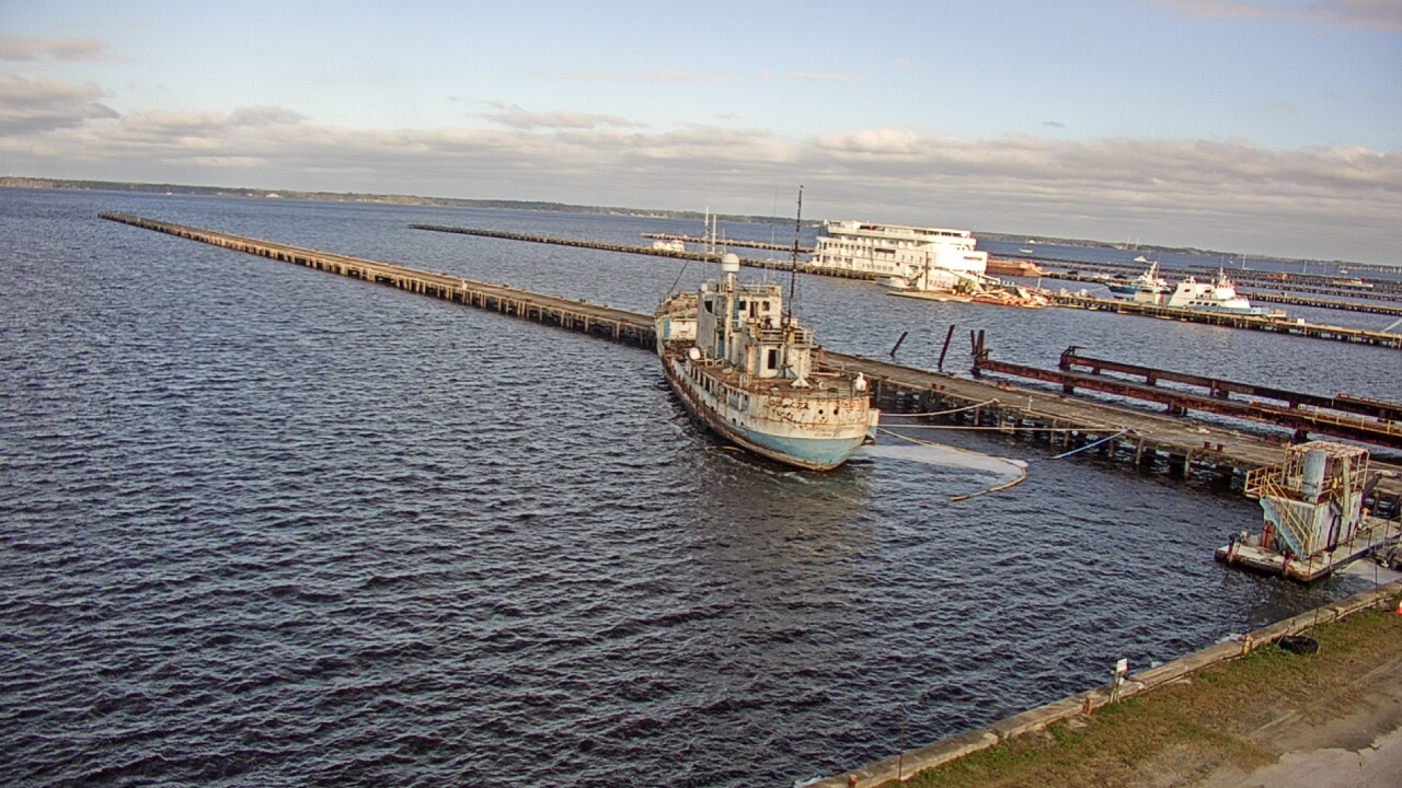 Thumbnail for current weather camera view from Reynolds Parks in Green Cove Springs, Florida