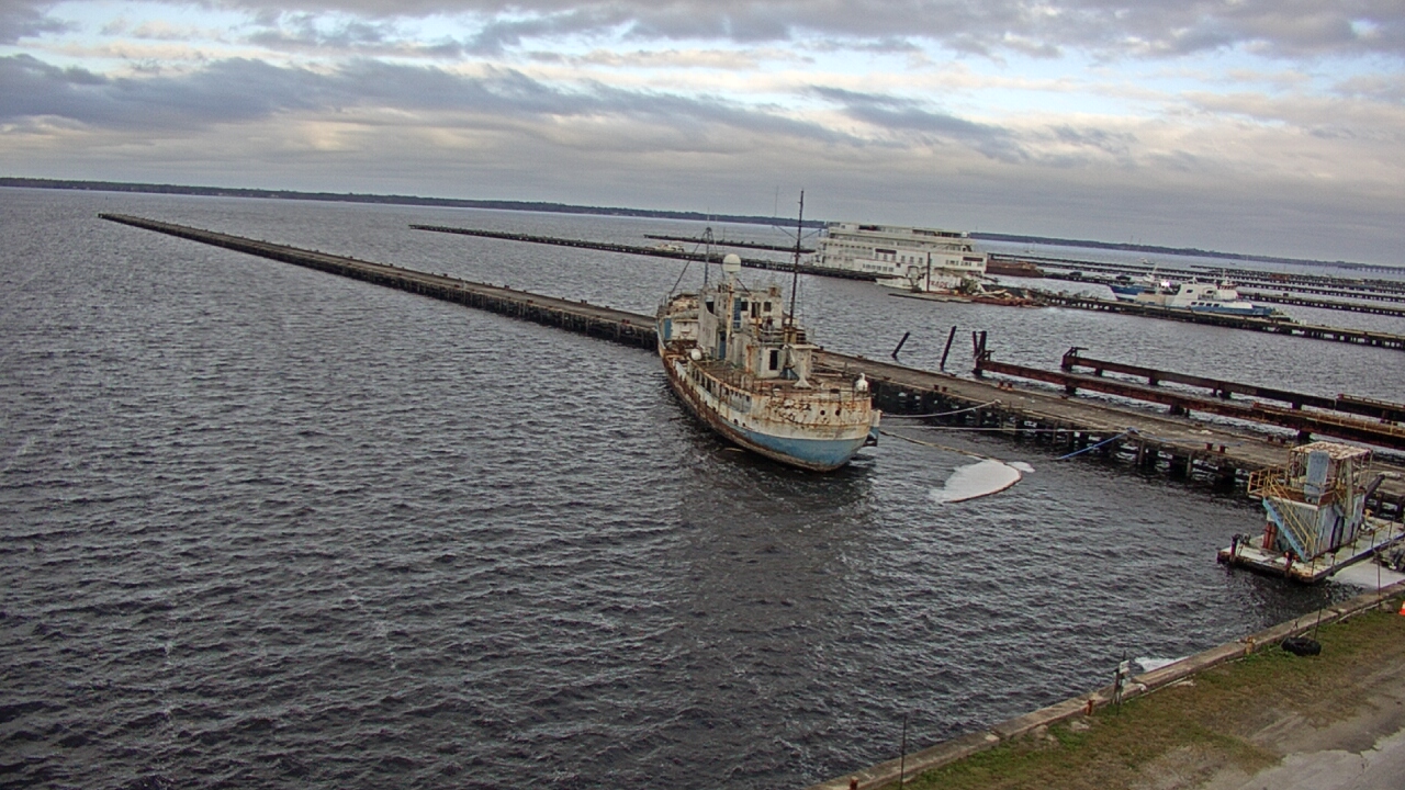 Thumbnail for current weather camera view from Reynolds Parks in Green Cove Springs, Florida