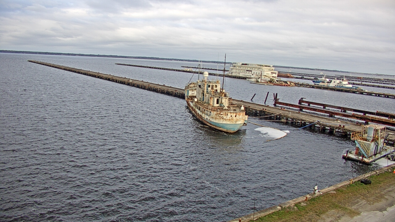 Thumbnail for current weather camera view from Reynolds Parks in Green Cove Springs, Florida