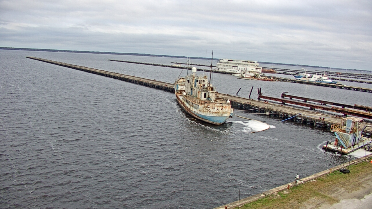 Thumbnail for current weather camera view from Reynolds Parks in Green Cove Springs, Florida