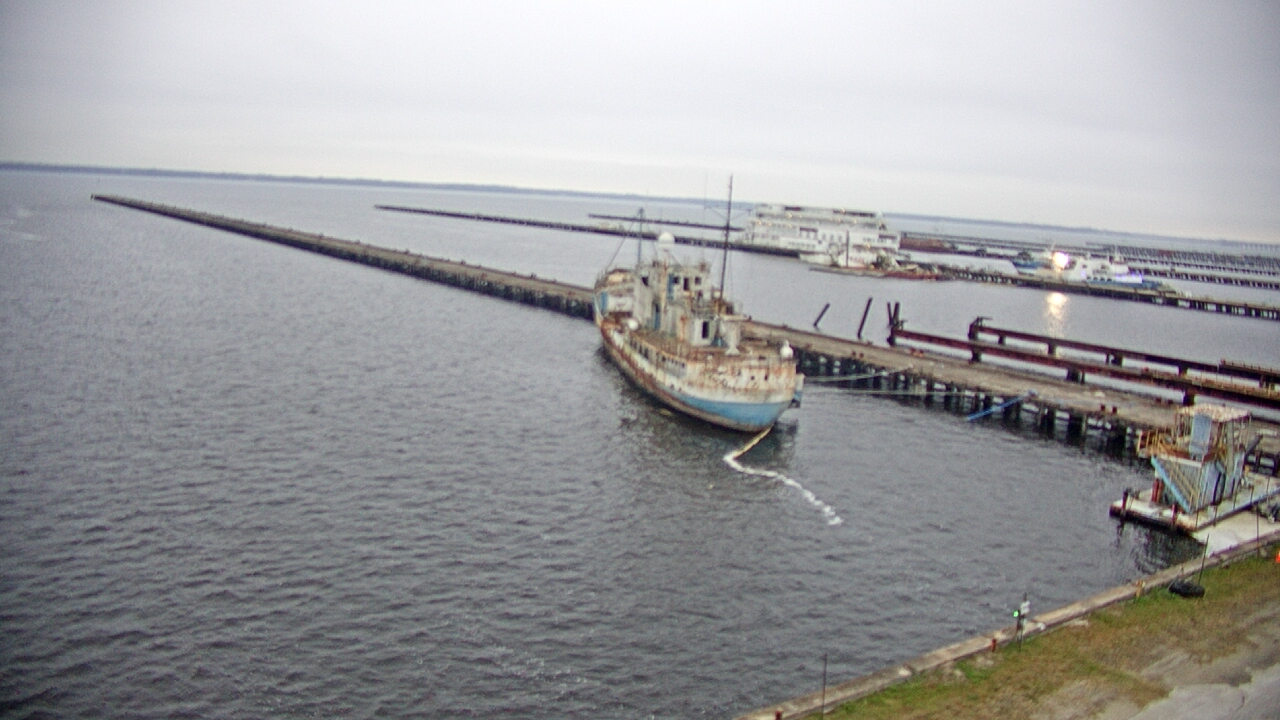 Thumbnail for current weather camera view from Reynolds Parks in Green Cove Springs, Florida