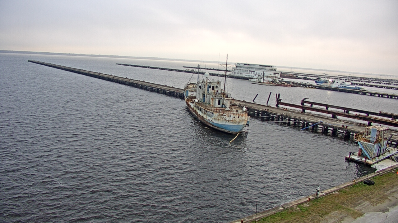 Thumbnail for current weather camera view from Reynolds Parks in Green Cove Springs, Florida