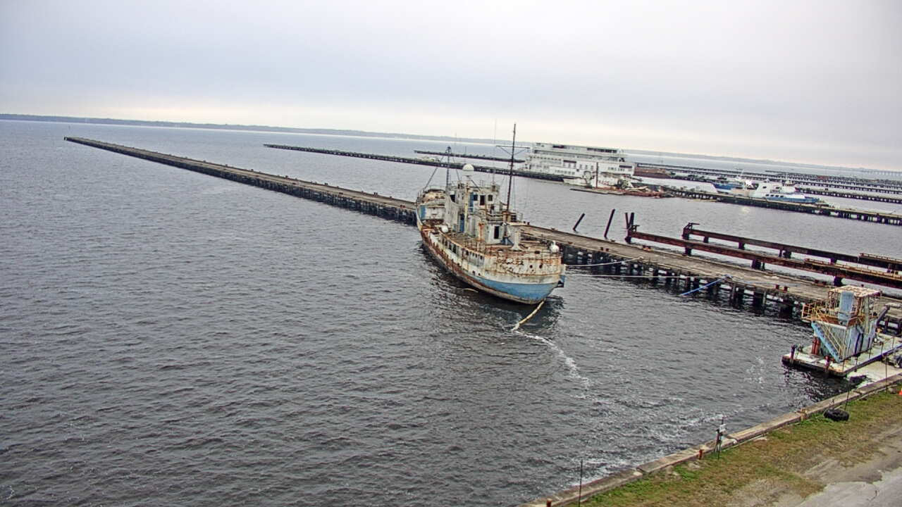 Thumbnail for current weather camera view from Reynolds Parks in Green Cove Springs, Florida