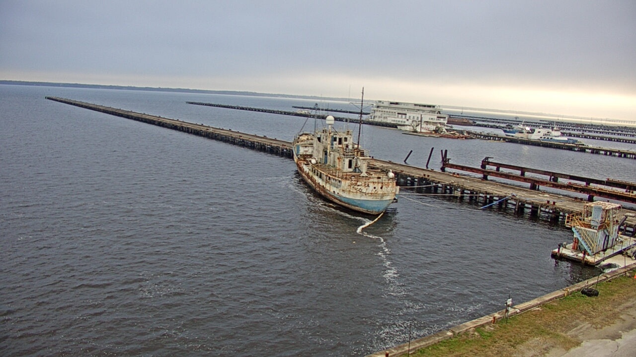 Thumbnail for current weather camera view from Reynolds Parks in Green Cove Springs, Florida