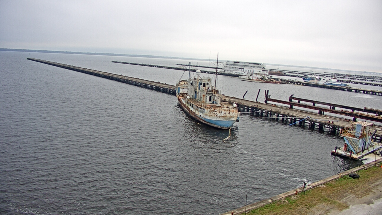 Thumbnail for current weather camera view from Reynolds Parks in Green Cove Springs, Florida