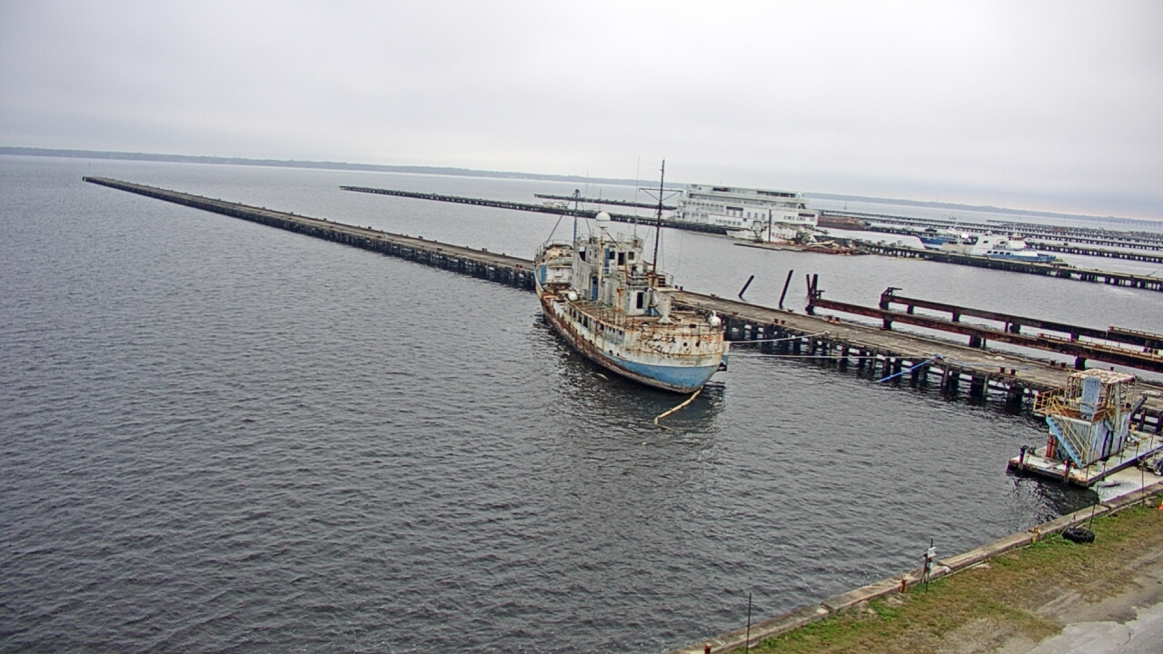 Thumbnail for current weather camera view from Reynolds Parks in Green Cove Springs, Florida