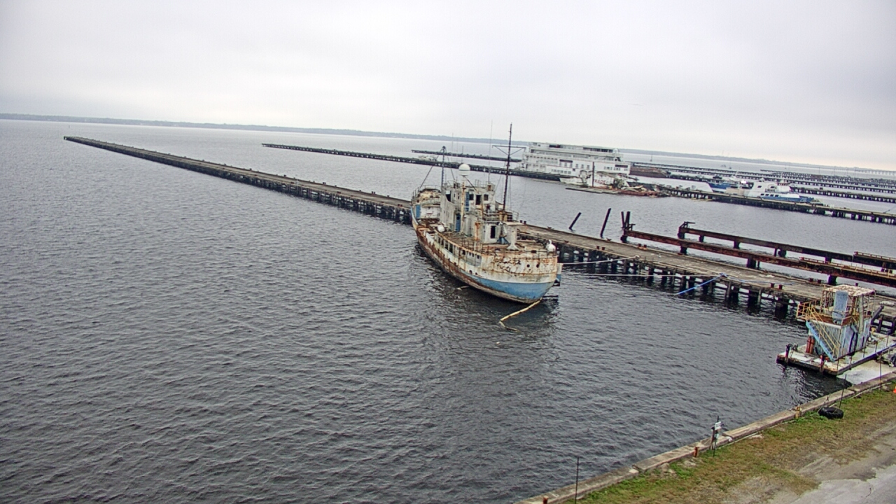 Thumbnail for current weather camera view from Reynolds Parks in Green Cove Springs, Florida