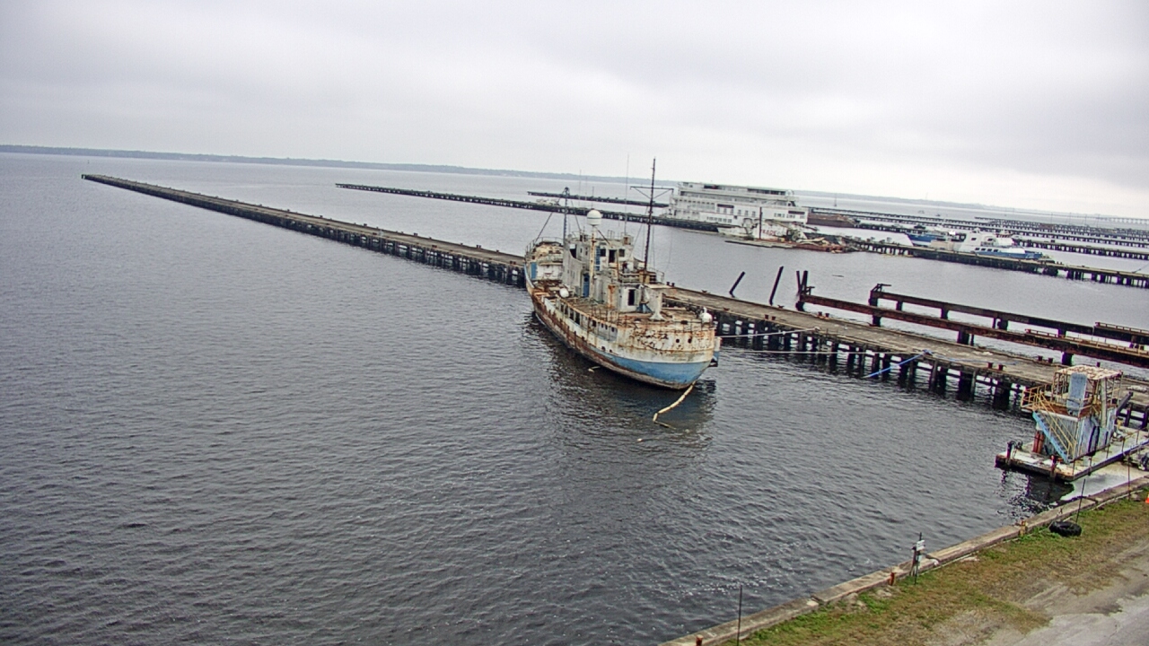 Thumbnail for current weather camera view from Reynolds Parks in Green Cove Springs, Florida