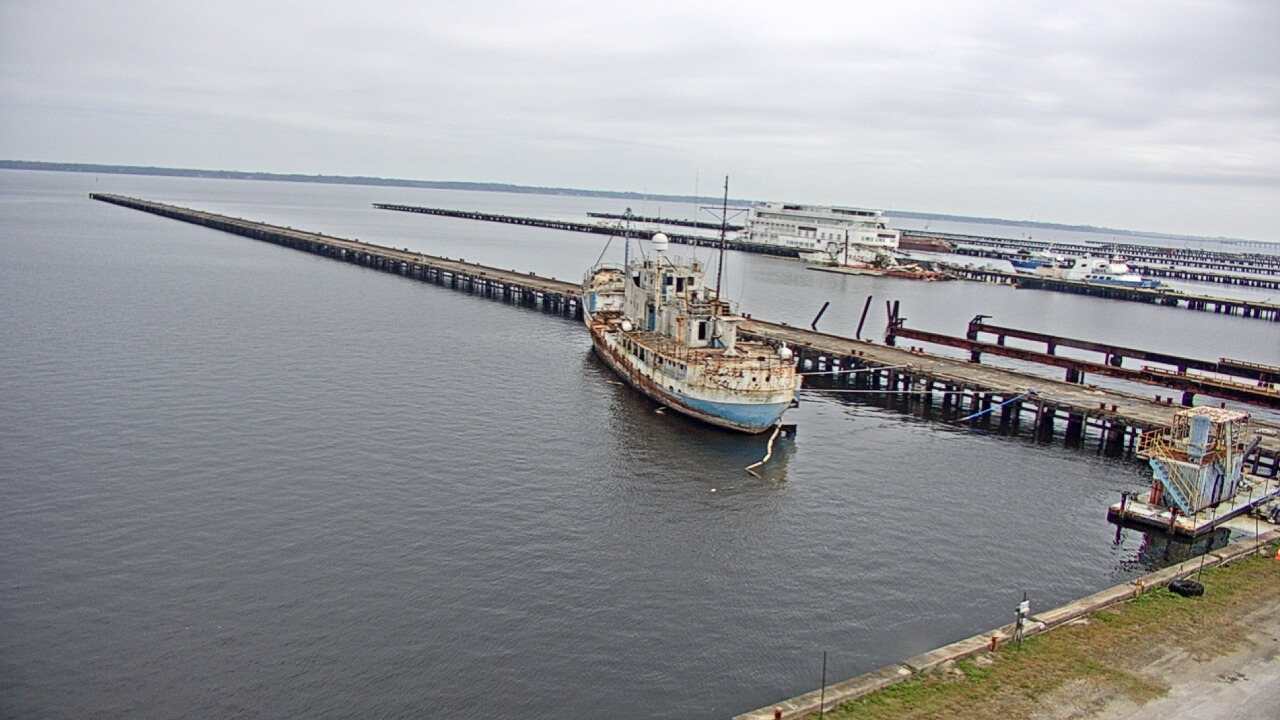 Thumbnail for current weather camera view from Reynolds Parks in Green Cove Springs, Florida