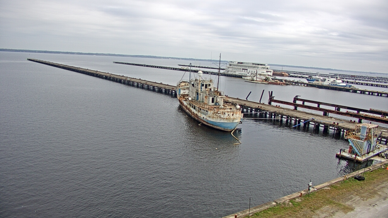 Thumbnail for current weather camera view from Reynolds Parks in Green Cove Springs, Florida