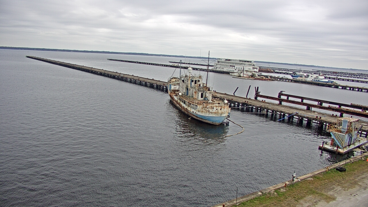 Thumbnail for current weather camera view from Reynolds Parks in Green Cove Springs, Florida