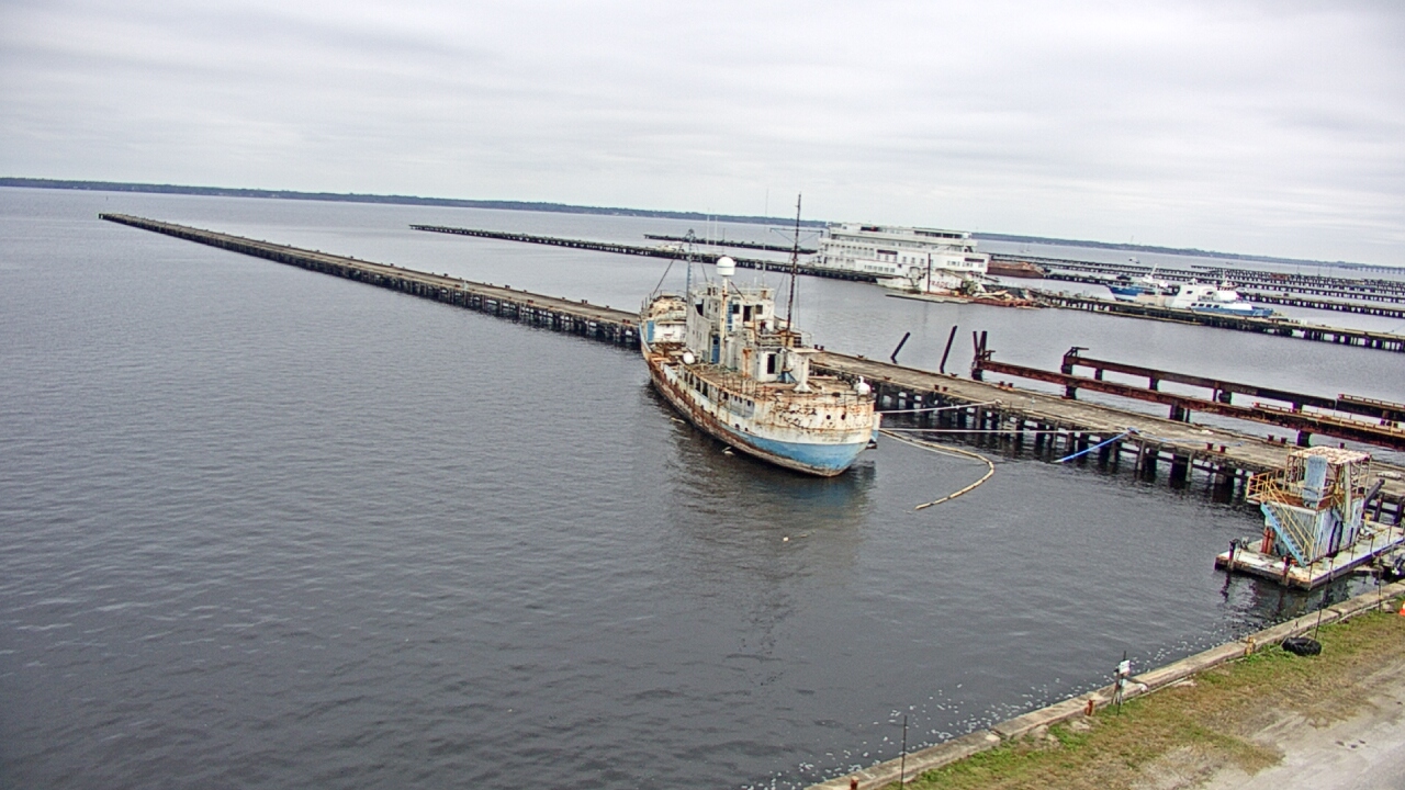 Thumbnail for current weather camera view from Reynolds Parks in Green Cove Springs, Florida