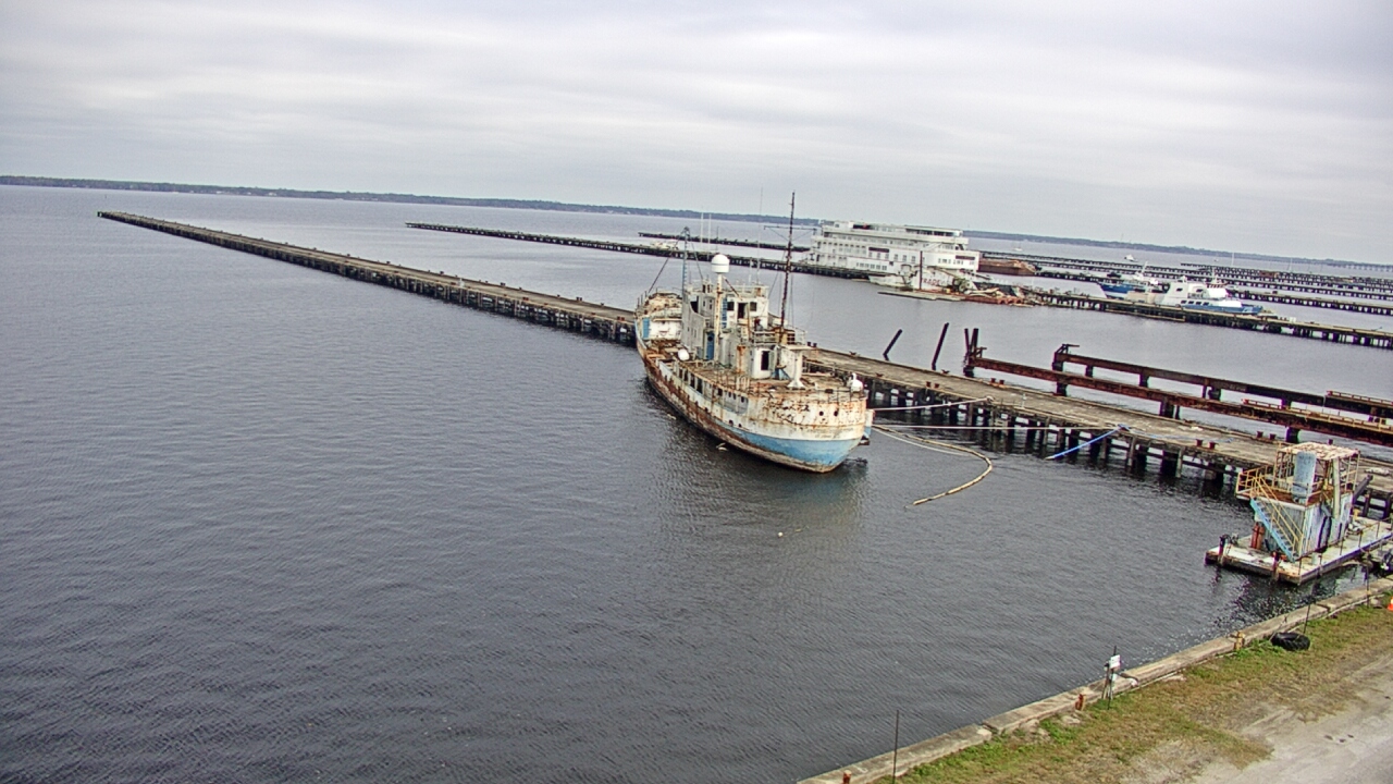 Thumbnail for current weather camera view from Reynolds Parks in Green Cove Springs, Florida