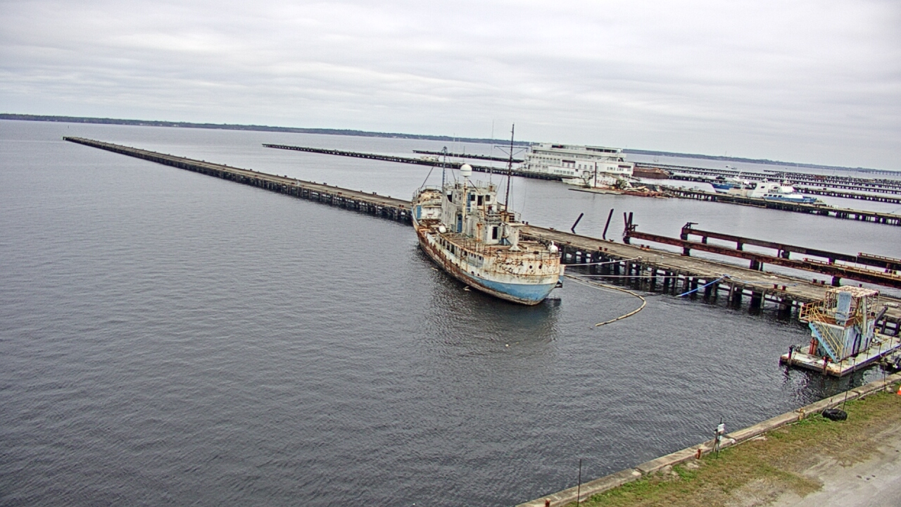 Thumbnail for current weather camera view from Reynolds Parks in Green Cove Springs, Florida