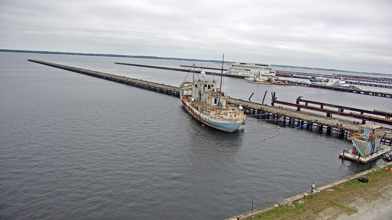 Thumbnail for current weather camera view from Reynolds Parks in Green Cove Springs, Florida