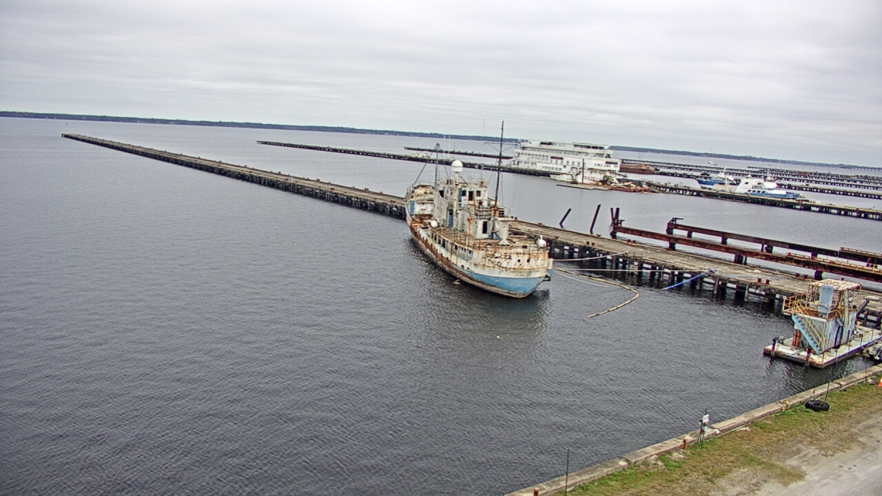Thumbnail for current weather camera view from Reynolds Parks in Green Cove Springs, Florida