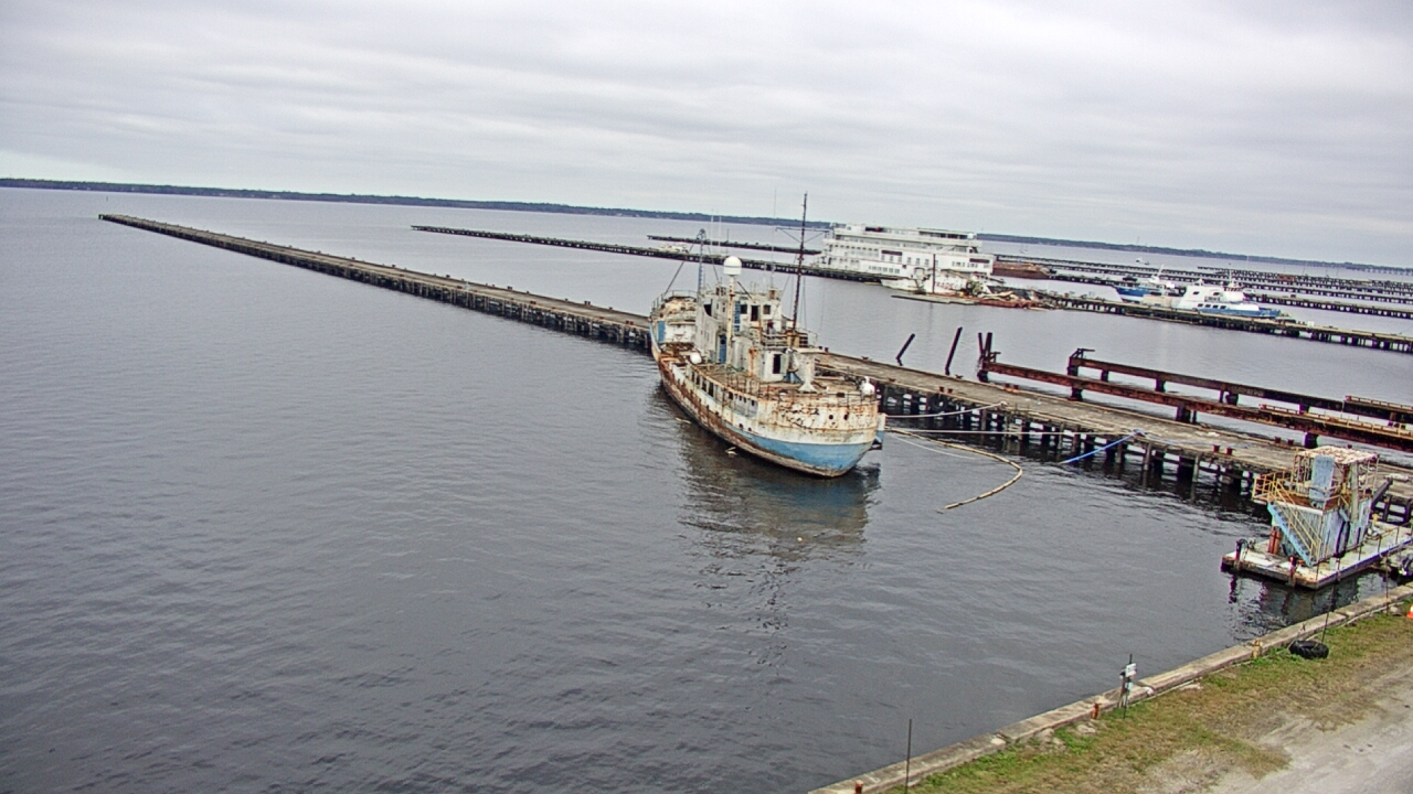 Thumbnail for current weather camera view from Reynolds Parks in Green Cove Springs, Florida