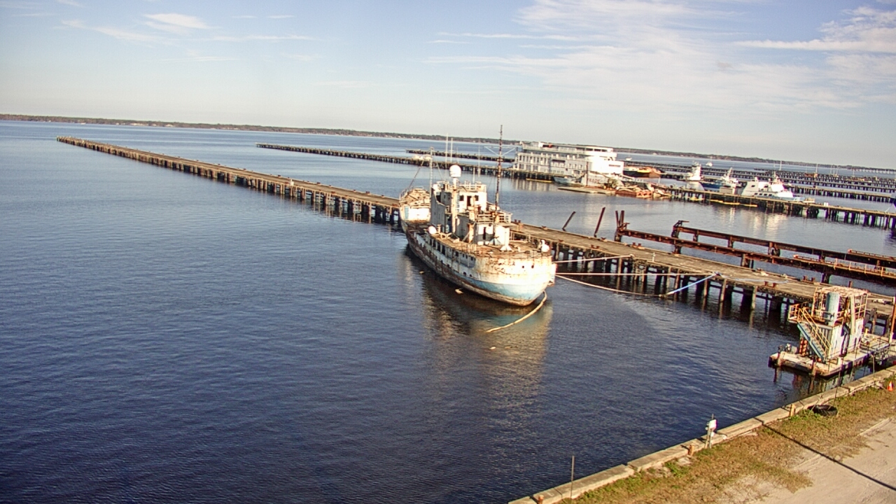 Thumbnail for current weather camera view from Reynolds Parks in Green Cove Springs, Florida