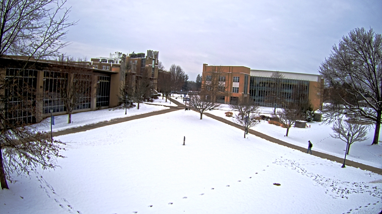 Thumbnail for current weather camera view from Misericordia University in Back Mountain, Pennsylvania
