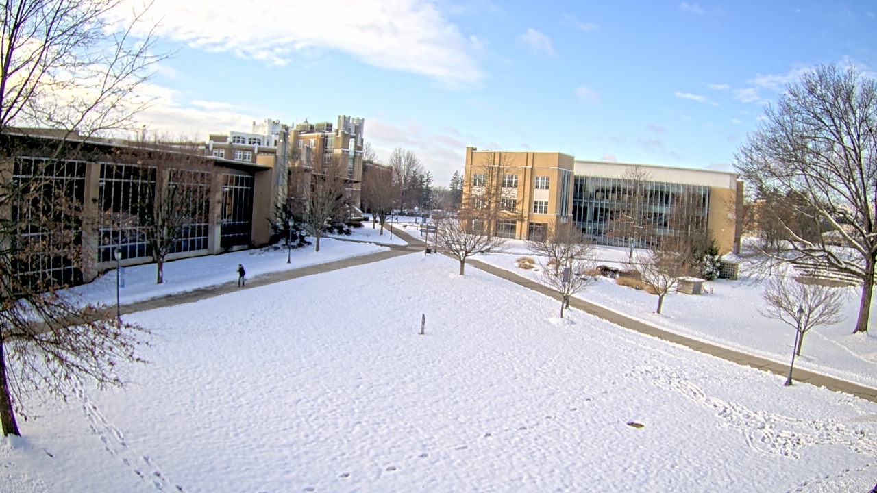Thumbnail for current weather camera view from Misericordia University in Back Mountain, Pennsylvania
