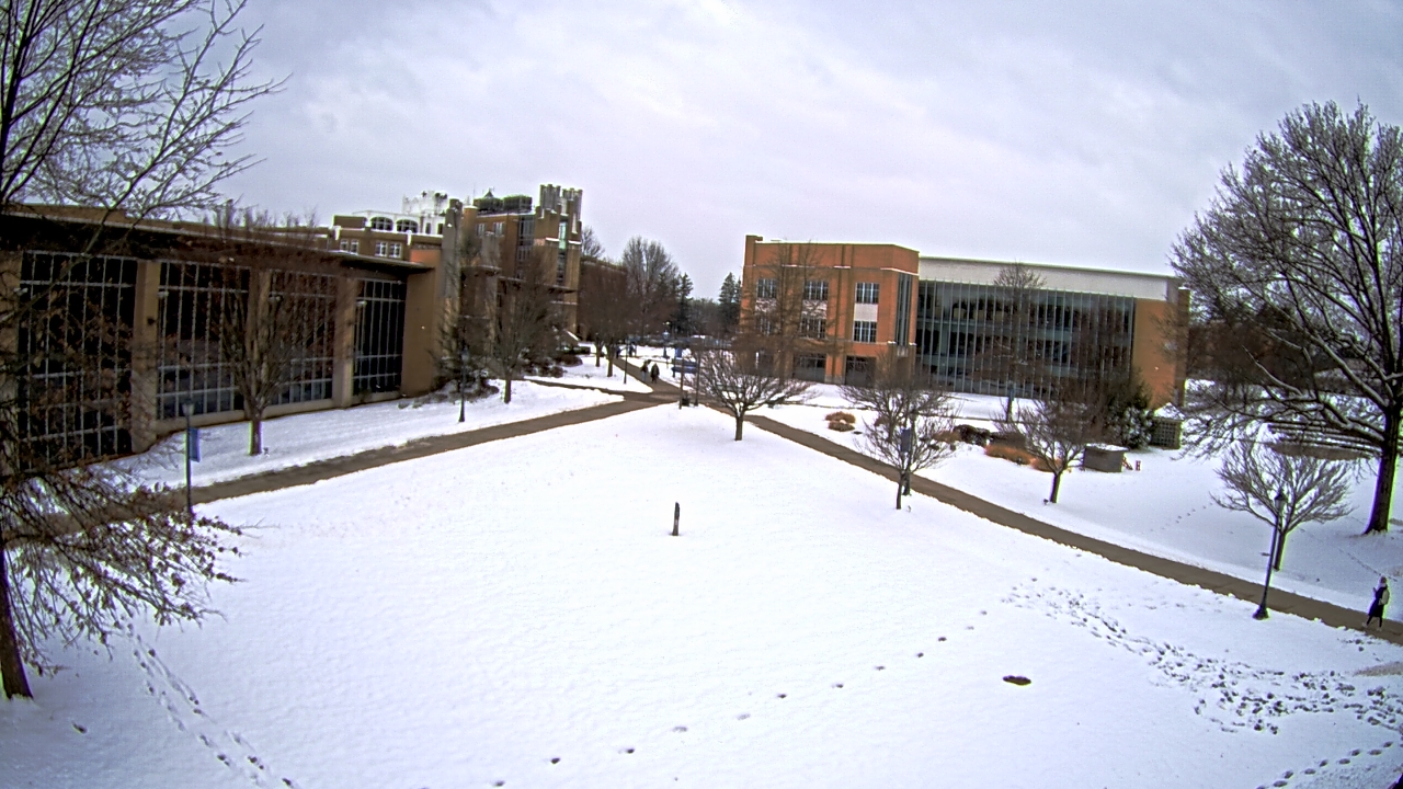 Thumbnail for current weather camera view from Misericordia University in Back Mountain, Pennsylvania