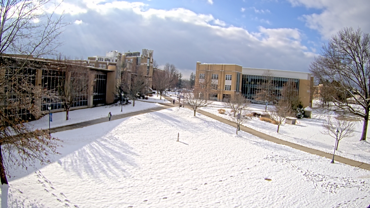 Thumbnail for current weather camera view from Misericordia University in Back Mountain, Pennsylvania