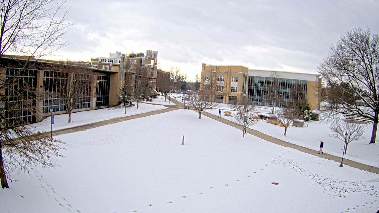 Thumbnail for current weather camera view from Misericordia University in Back Mountain, Pennsylvania