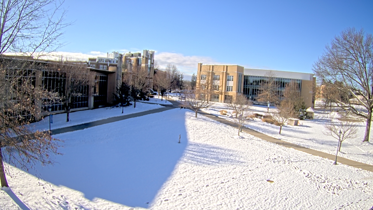 Thumbnail for current weather camera view from Misericordia University in Back Mountain, Pennsylvania