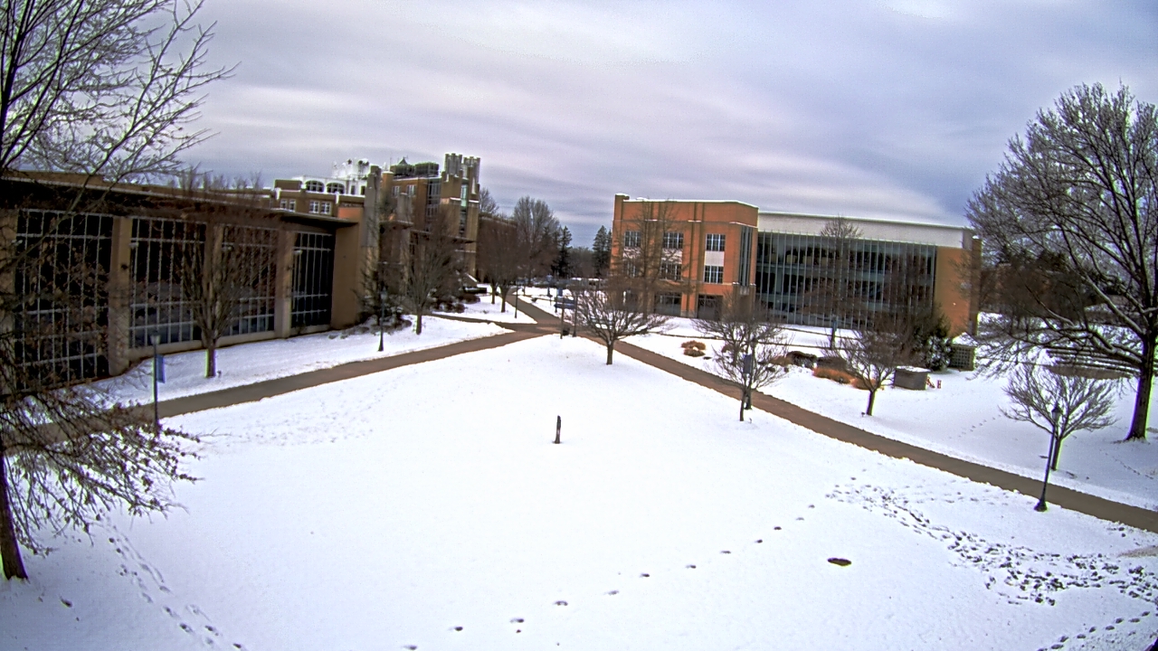 Thumbnail for current weather camera view from Misericordia University in Back Mountain, Pennsylvania