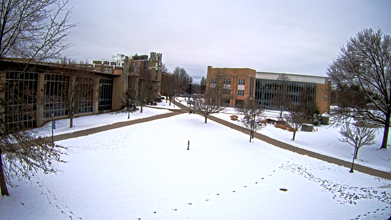 Thumbnail for current weather camera view from Misericordia University in Back Mountain, Pennsylvania