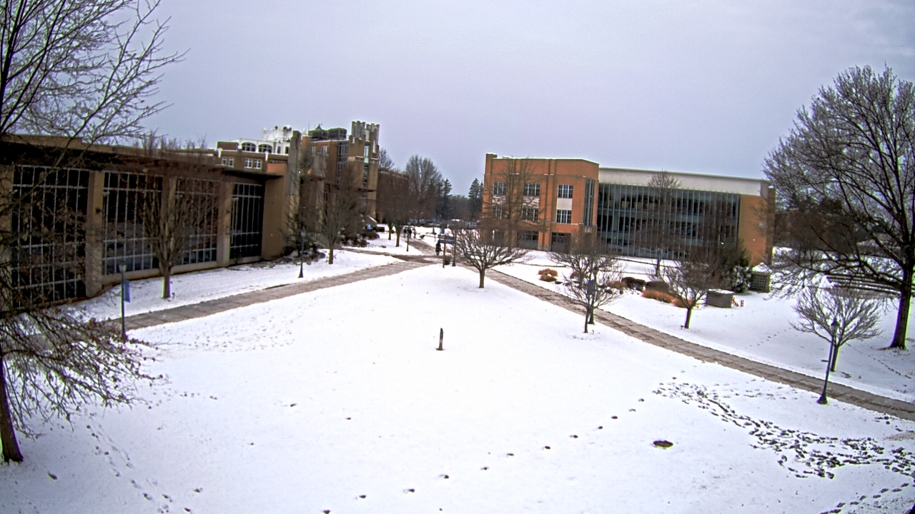 Thumbnail for current weather camera view from Misericordia University in Back Mountain, Pennsylvania