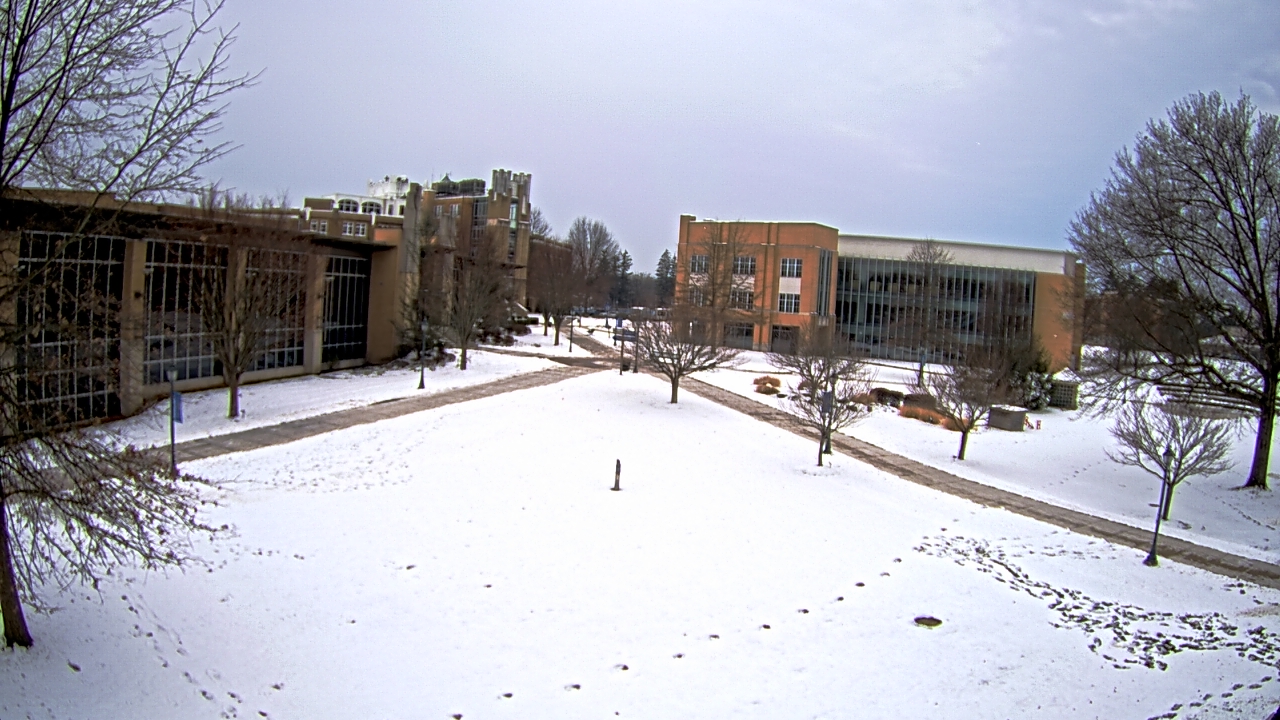 Thumbnail for current weather camera view from Misericordia University in Back Mountain, Pennsylvania