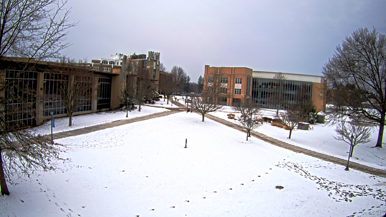 Thumbnail for current weather camera view from Misericordia University in Back Mountain, Pennsylvania
