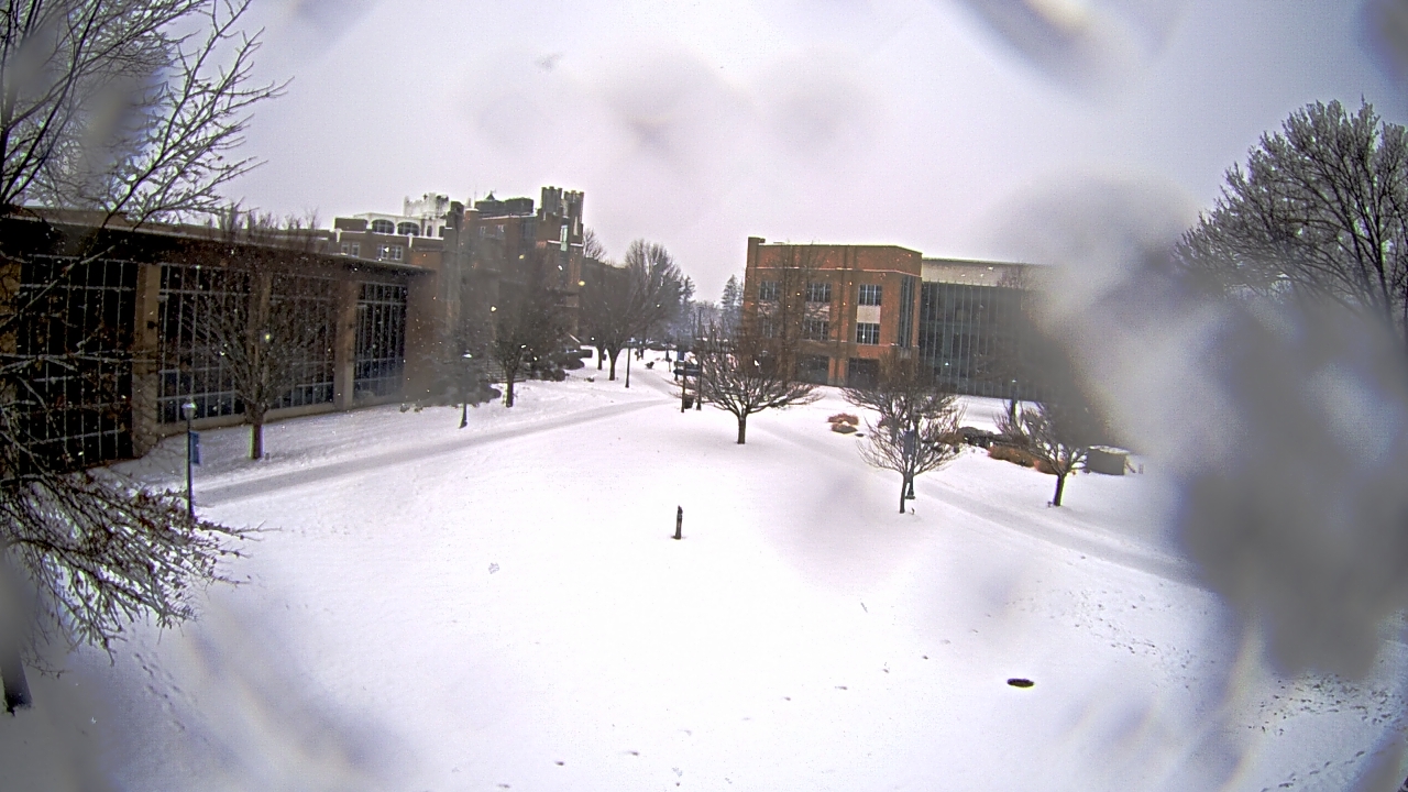 Thumbnail for current weather camera view from Misericordia University in Back Mountain, Pennsylvania