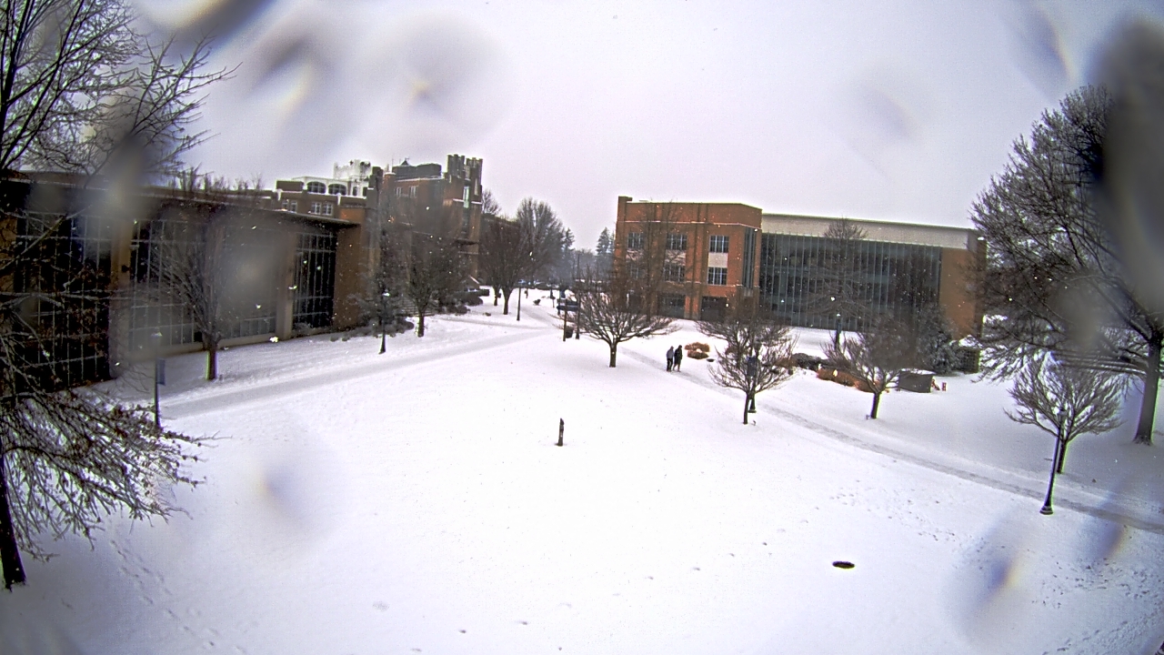 Thumbnail for current weather camera view from Misericordia University in Back Mountain, Pennsylvania