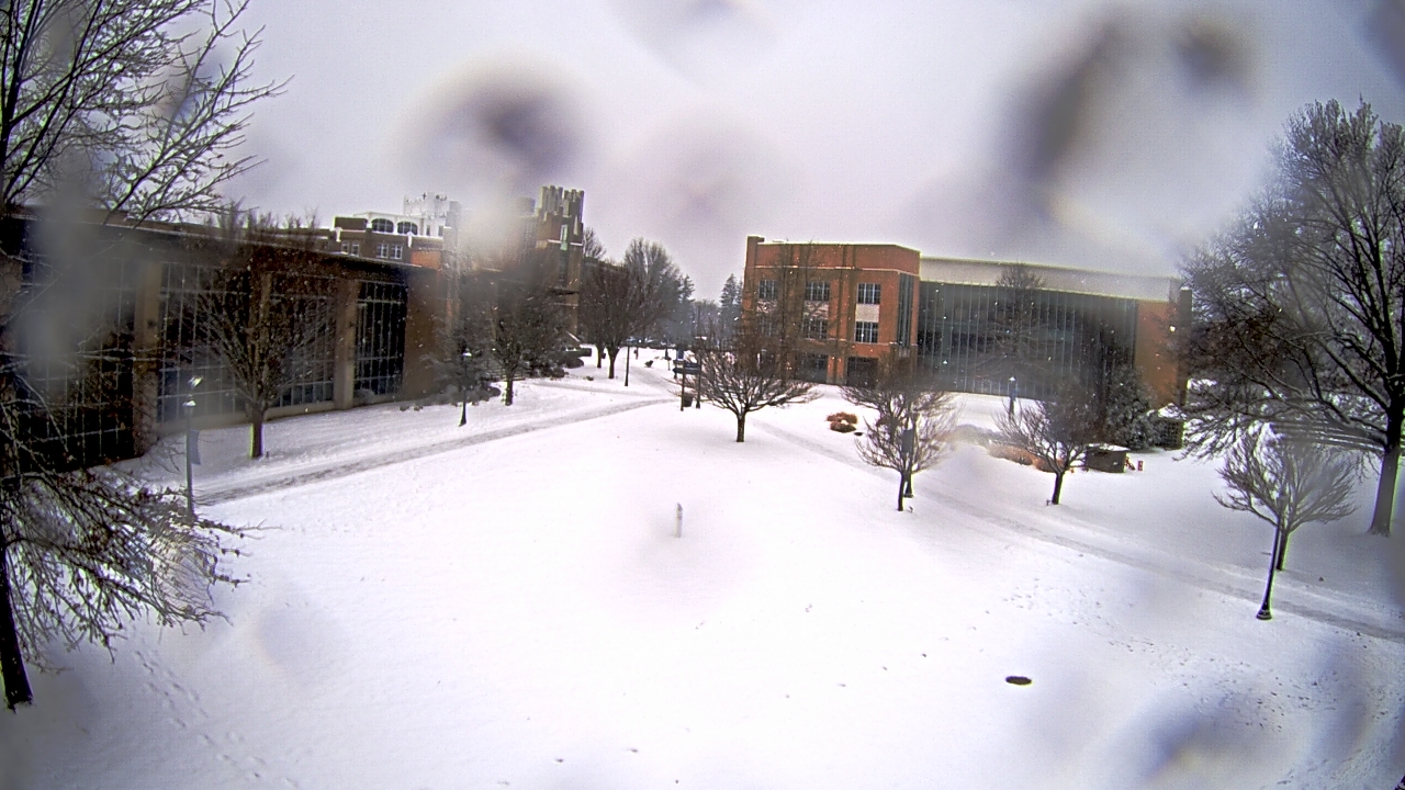 Thumbnail for current weather camera view from Misericordia University in Back Mountain, Pennsylvania