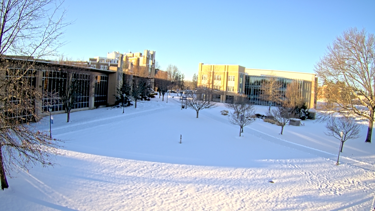 Thumbnail for current weather camera view from Misericordia University in Back Mountain, Pennsylvania