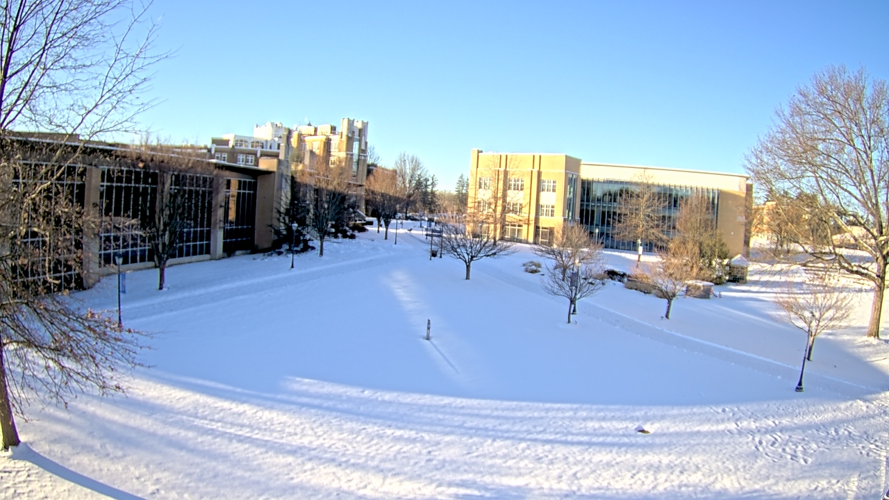 Thumbnail for current weather camera view from Misericordia University in Back Mountain, Pennsylvania