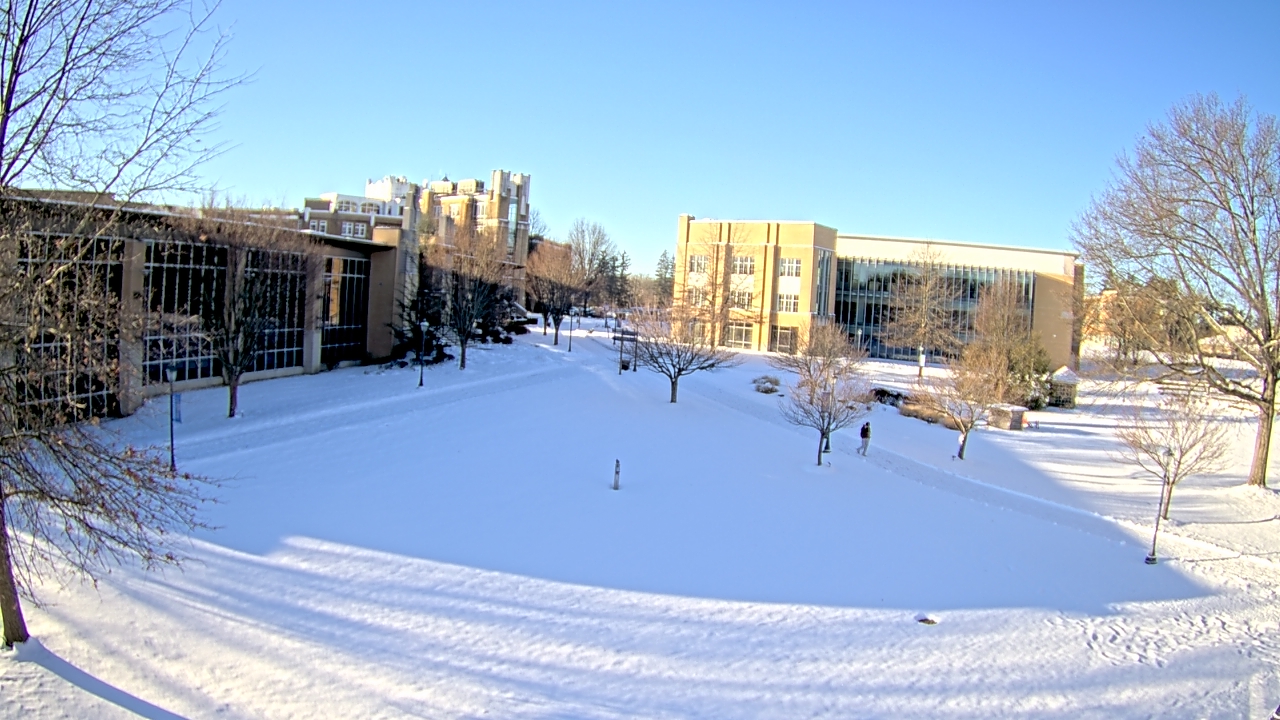 Thumbnail for current weather camera view from Misericordia University in Back Mountain, Pennsylvania