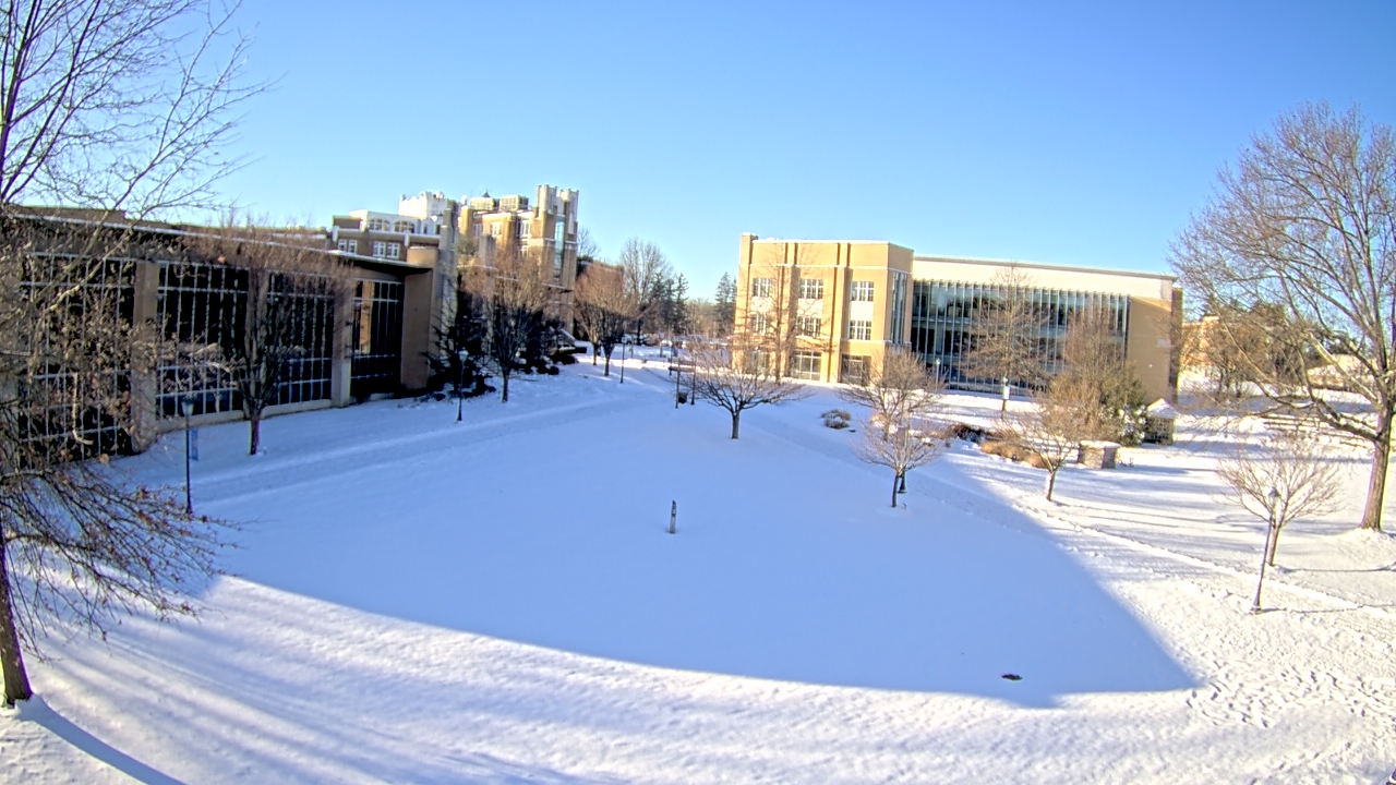 Thumbnail for current weather camera view from Misericordia University in Back Mountain, Pennsylvania