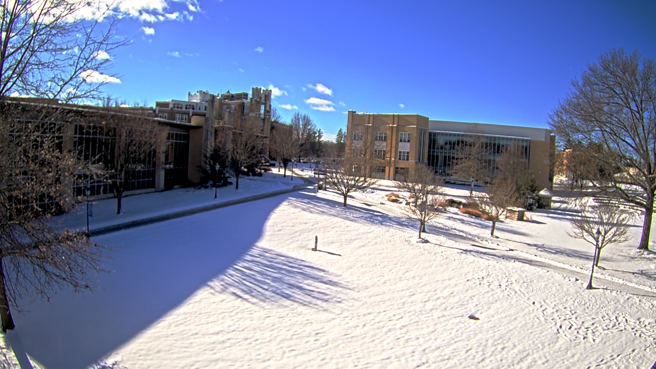 Thumbnail for current weather camera view from Misericordia University in Back Mountain, Pennsylvania
