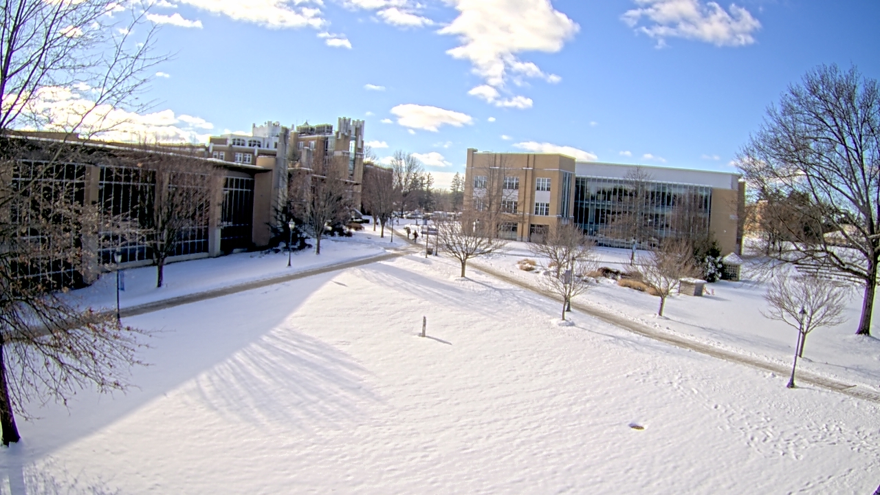 Thumbnail for current weather camera view from Misericordia University in Back Mountain, Pennsylvania