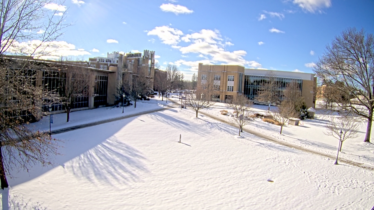 Thumbnail for current weather camera view from Misericordia University in Back Mountain, Pennsylvania