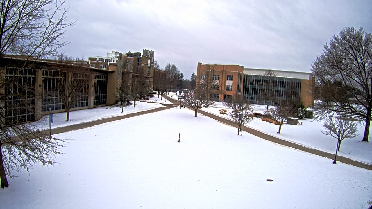 Thumbnail for current weather camera view from Misericordia University in Back Mountain, Pennsylvania