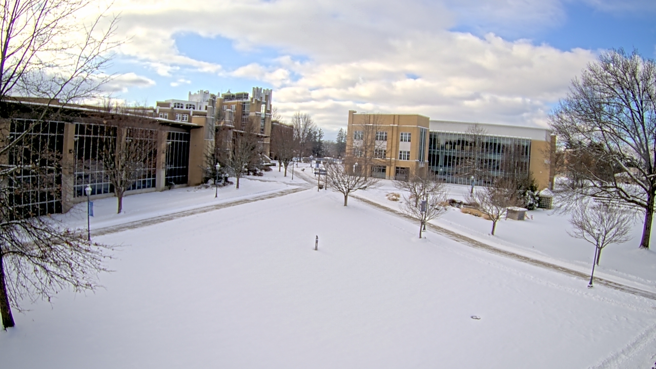 Thumbnail for current weather camera view from Misericordia University in Back Mountain, Pennsylvania