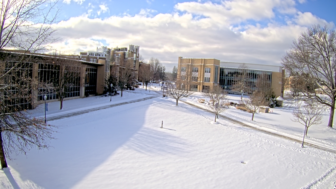 Thumbnail for current weather camera view from Misericordia University in Back Mountain, Pennsylvania