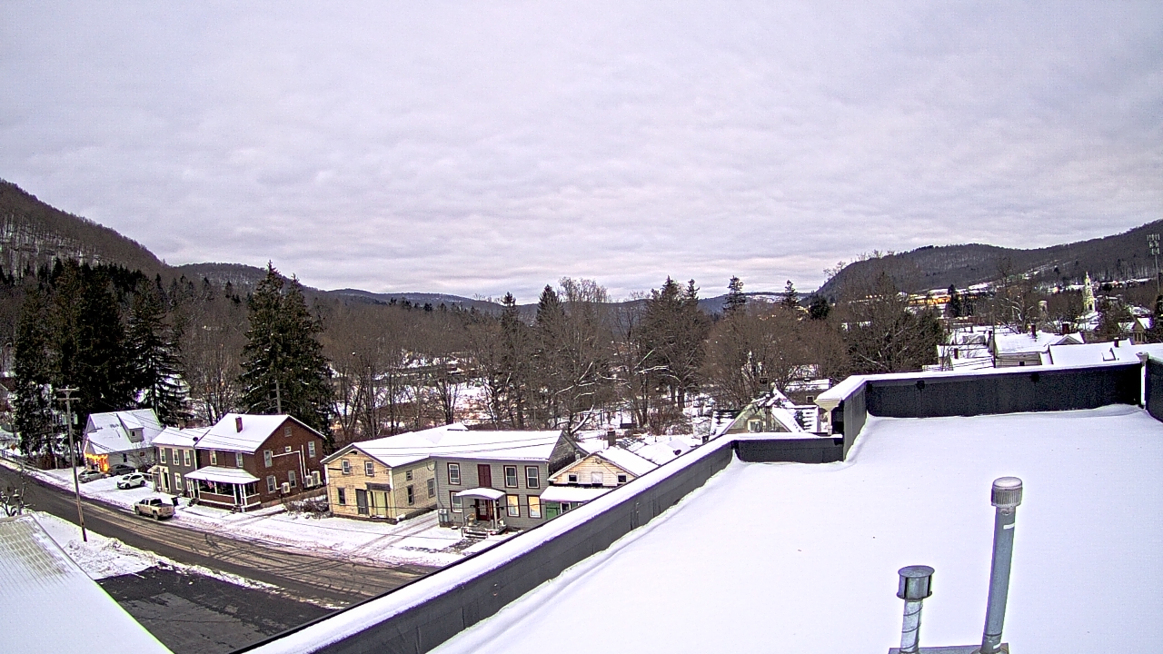 Thumbnail for current weather camera view from Delhi in Delhi, New York